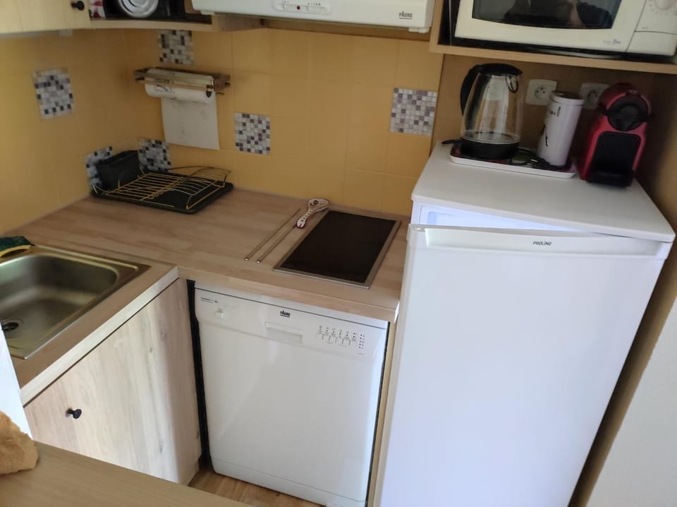 dishwasher, minibar, stove