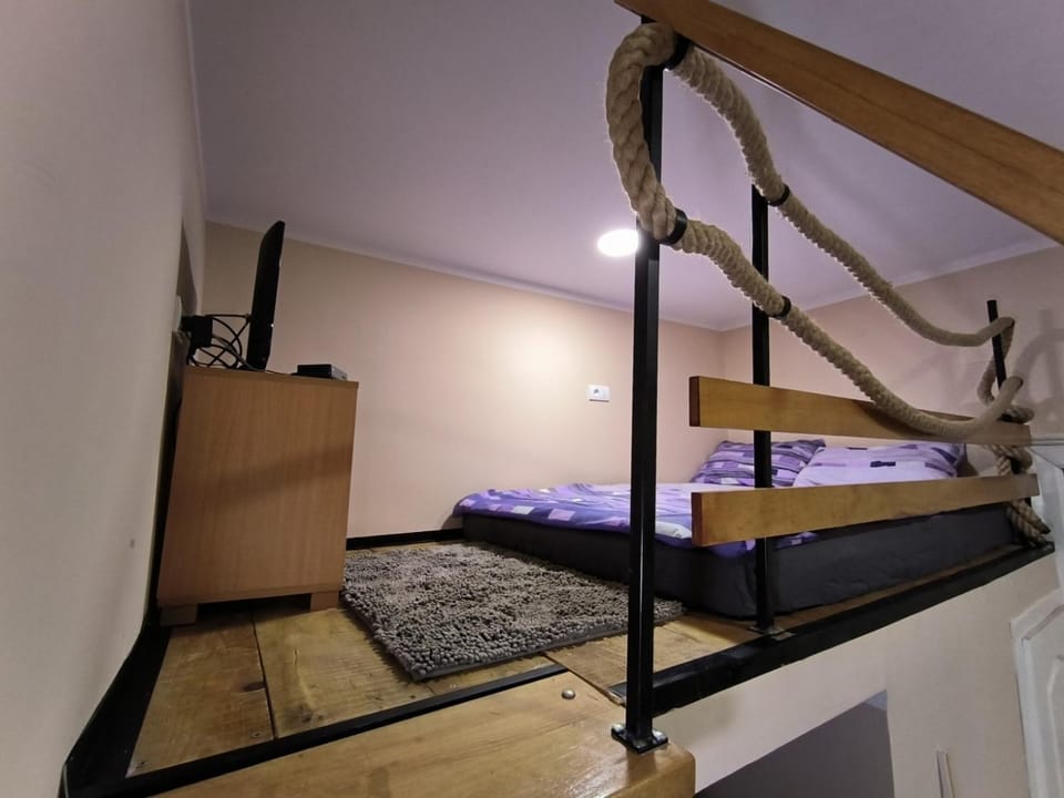 Little Sony Apartment Apartment in Novi Sad