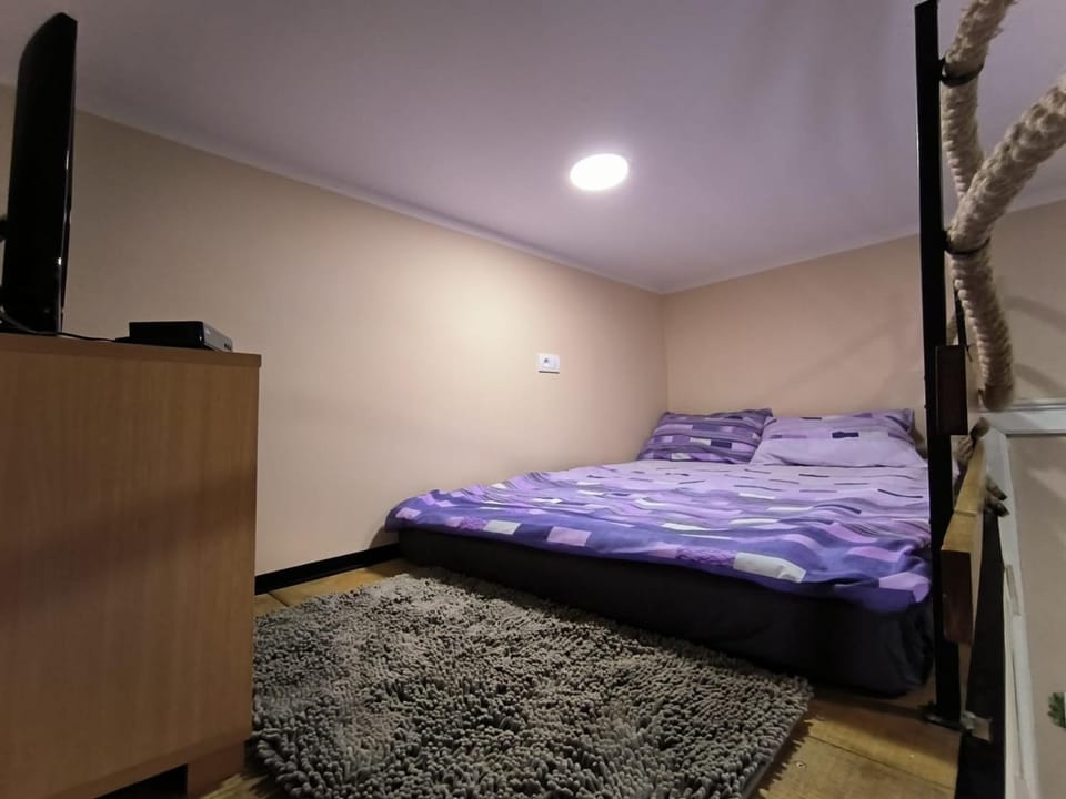 Little Sony Apartment Apartment in Novi Sad