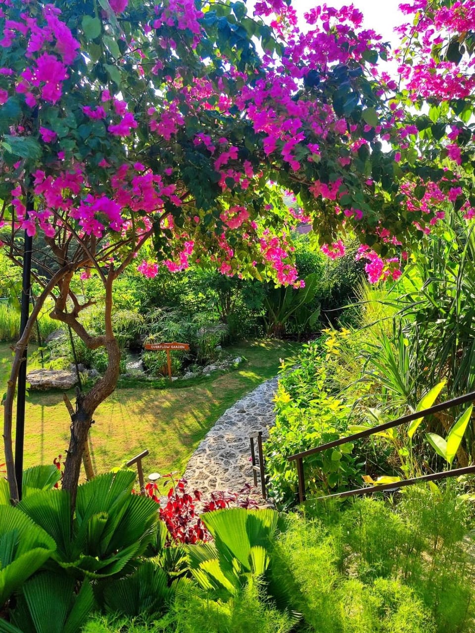 Natural landscape, Garden