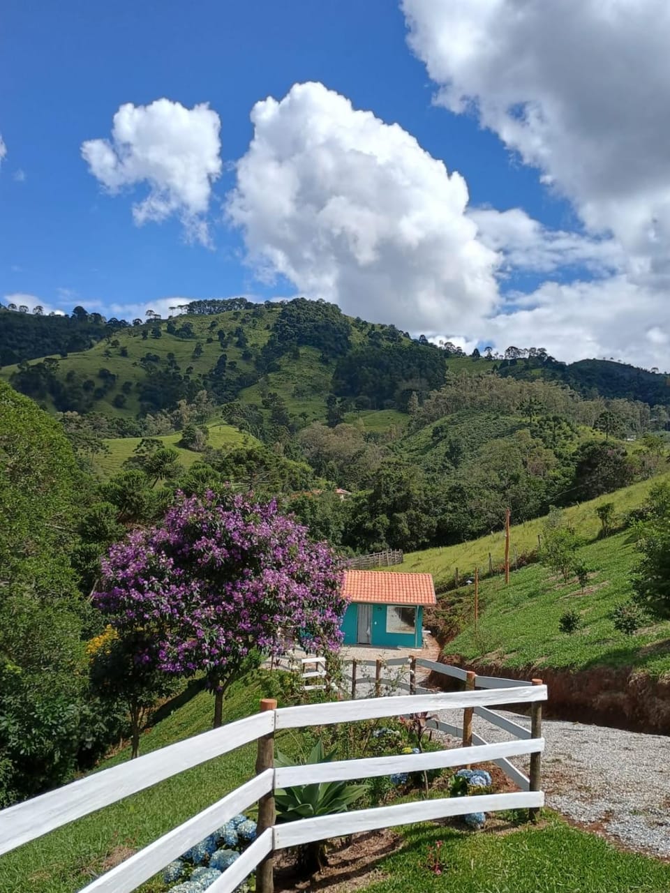 View (from property/room)