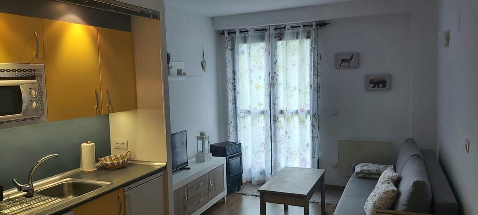 Apartamento Riglos Candanchu Apartment in Aragon