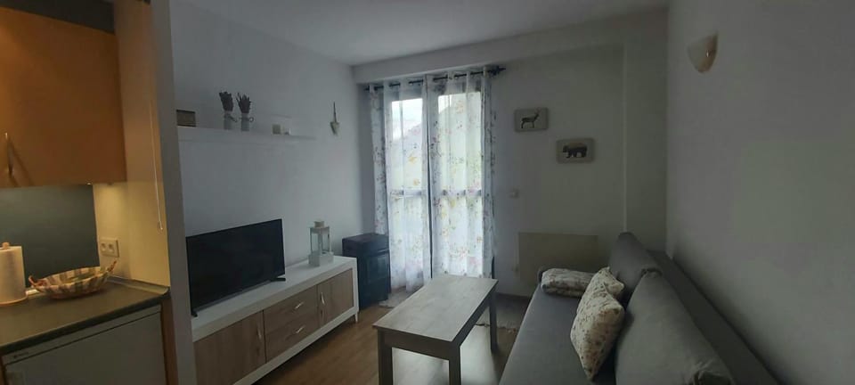 Apartamento Riglos Candanchu Apartment in Aragon