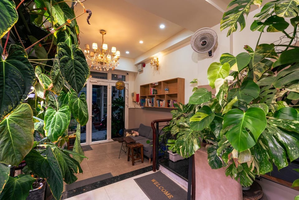 Garden, Library, Living room, Seating area