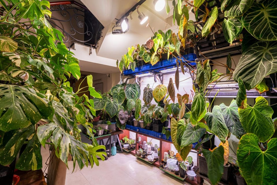 Amango Home Bed and Breakfast in Ho Chi Minh City