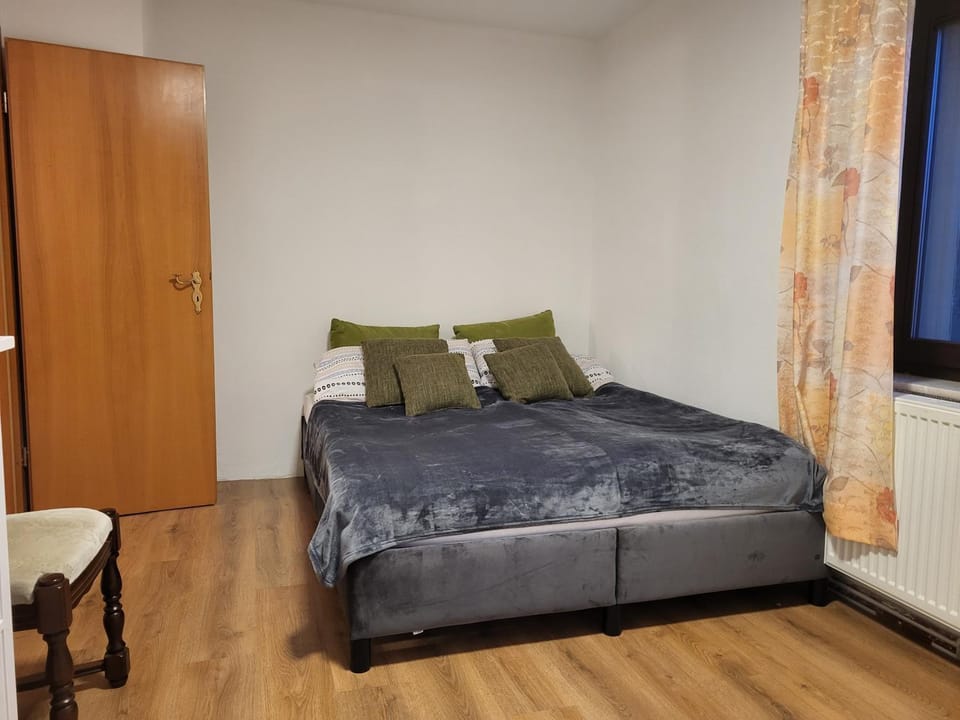 Haus Svetlana Ferienwohnung Apartment in Saxony