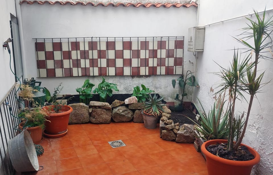 Patio, Inner courtyard view