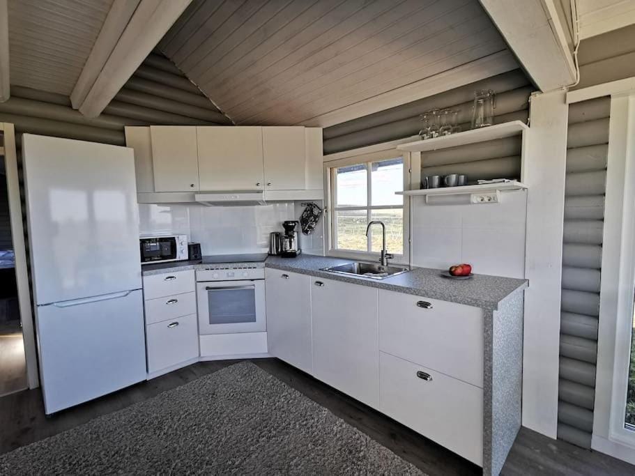 Kitchen or kitchenette, dishwasher, minibar