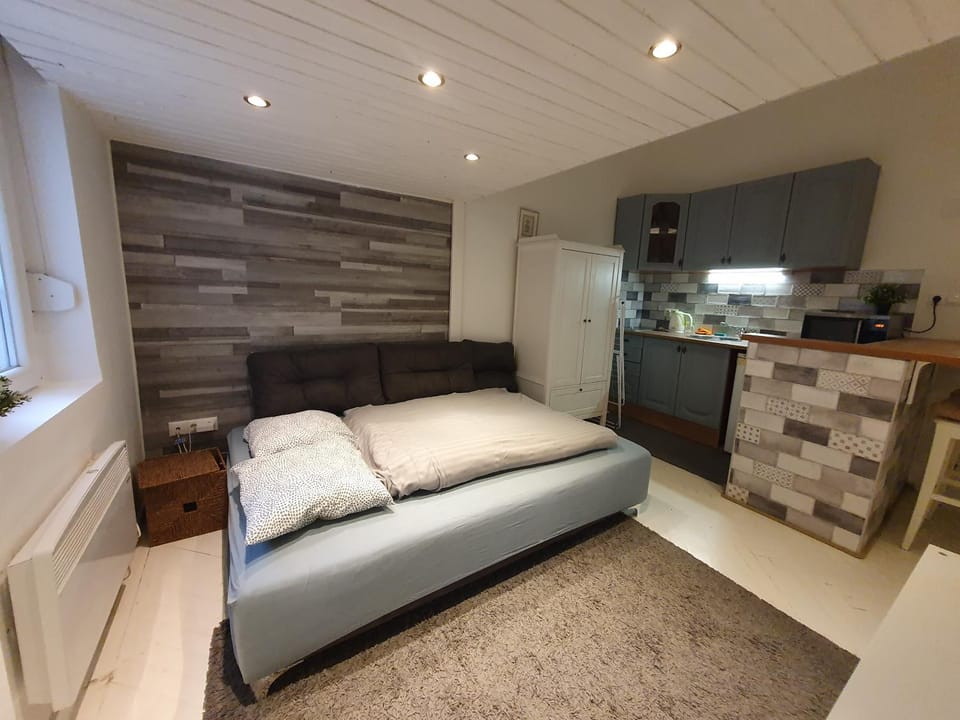 Vintage near Boulevard with AC AFTER RENOVATION Apartment in Budapest