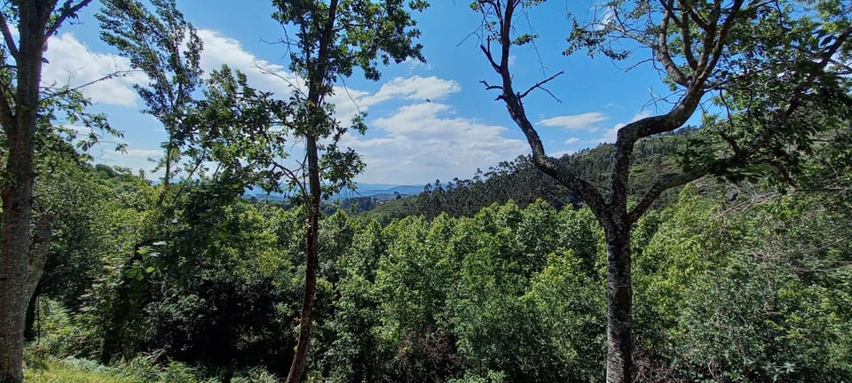 Natural landscape, View (from property/room)