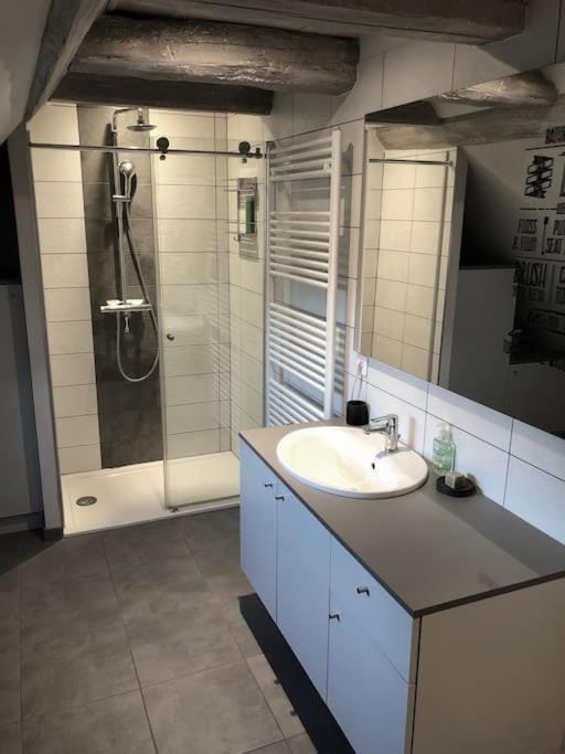 Le Logis du Vignoble Apartment in Grand Est