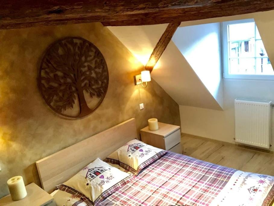 Le Logis du Vignoble Apartment in Grand Est