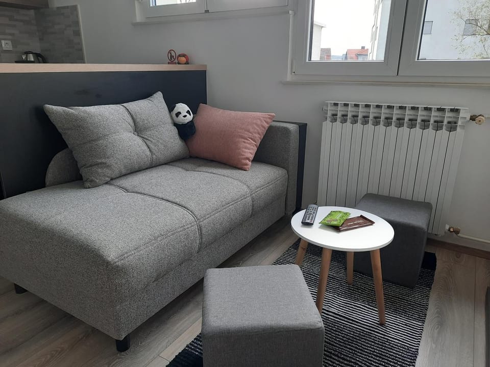 Apartman Ines Apartment in Slovenia