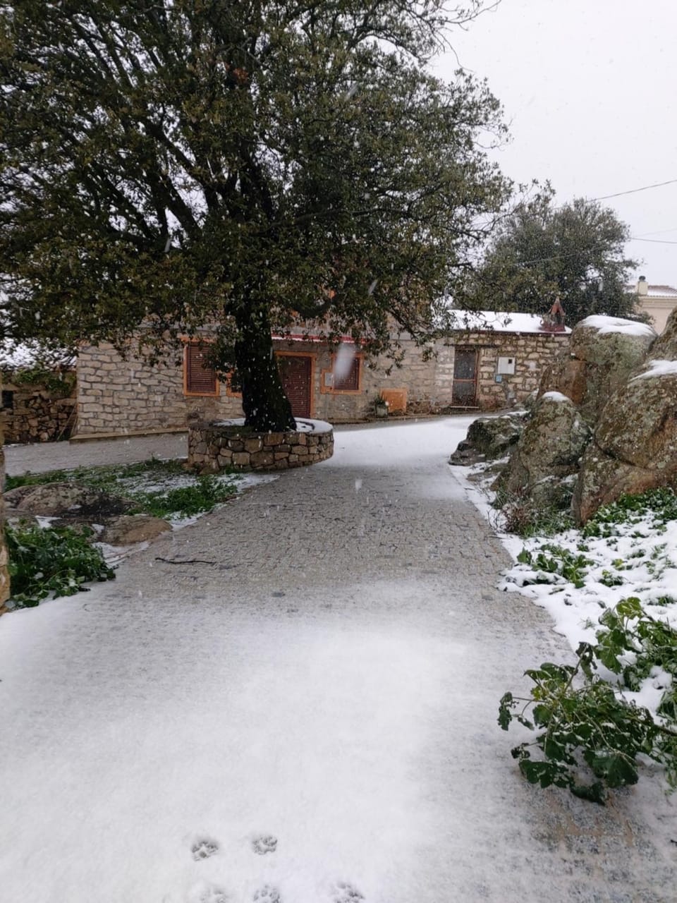 Winter
