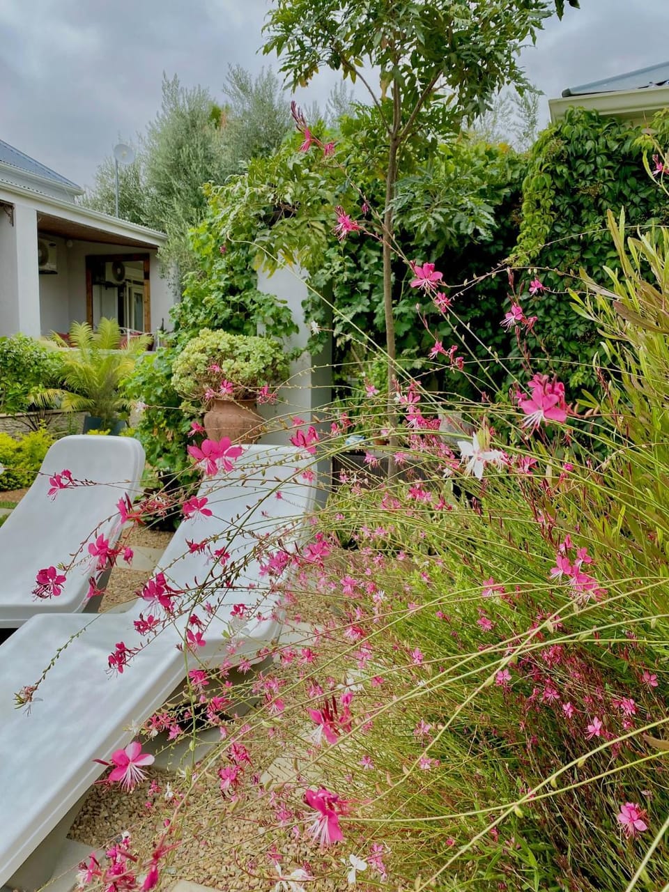 Garden, Garden view