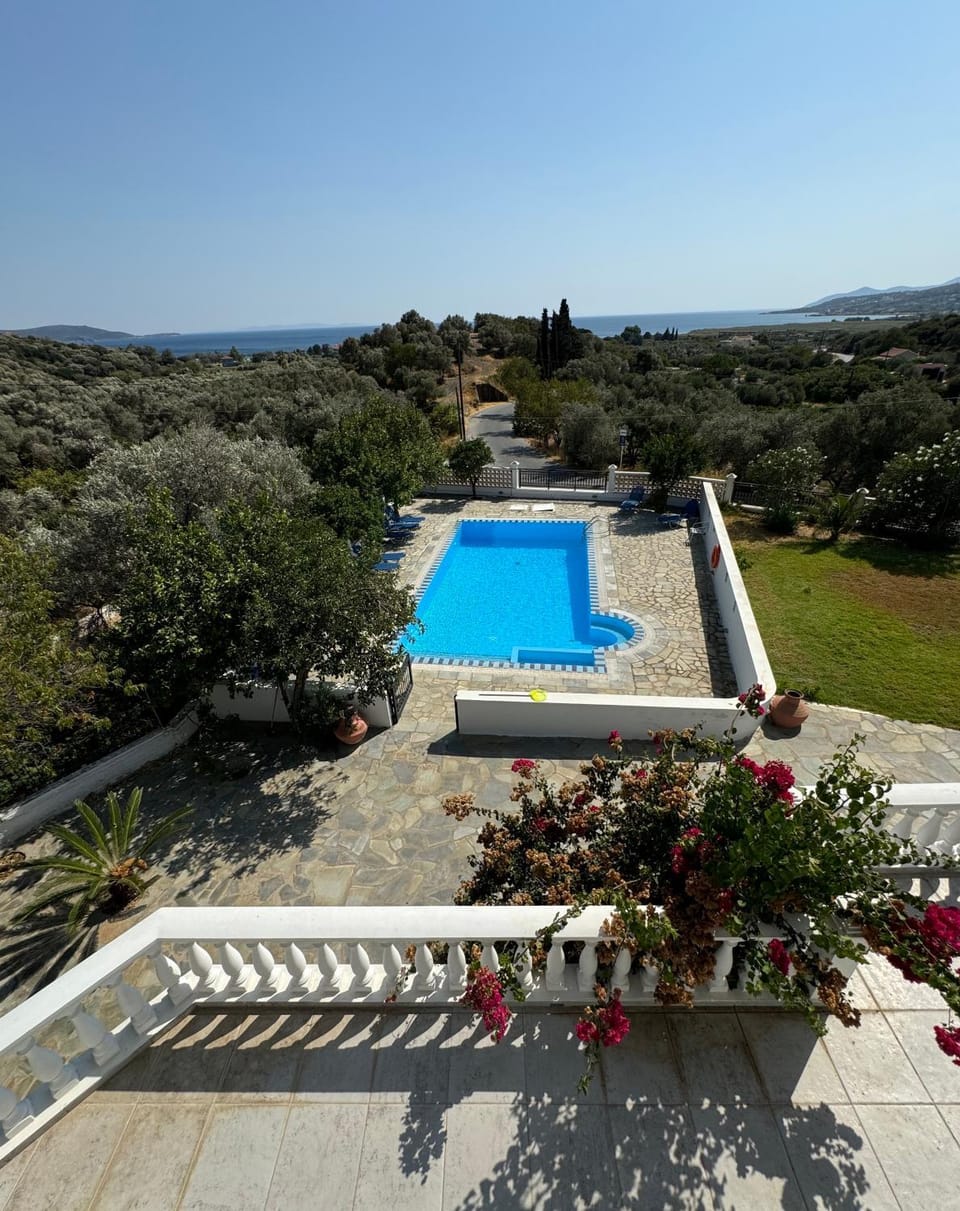Pool view, Swimming pool