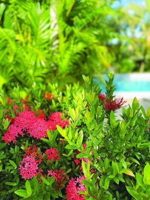 Natural landscape, Swimming pool