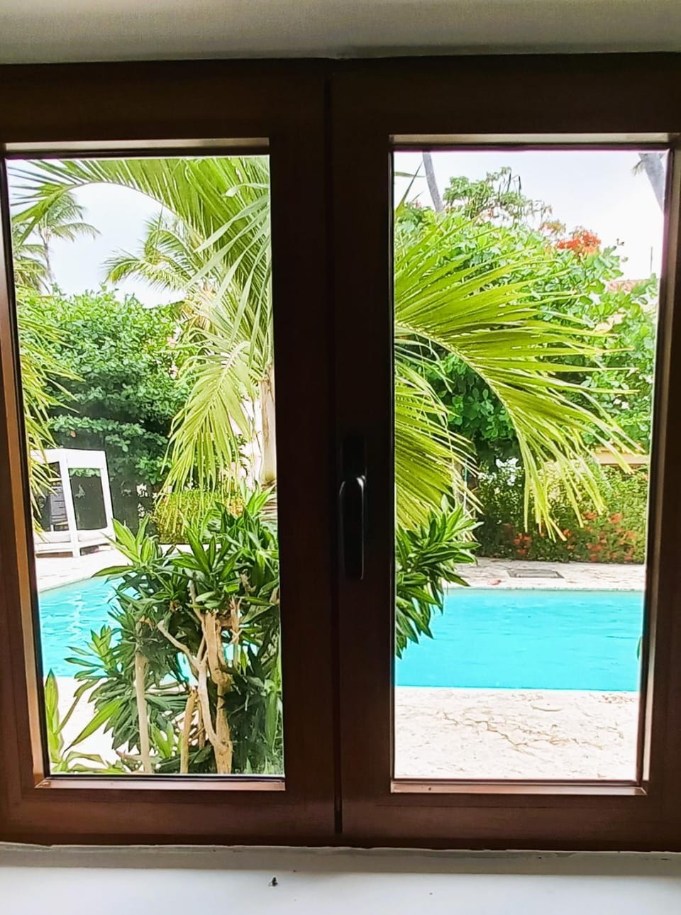 View (from property/room), Pool view