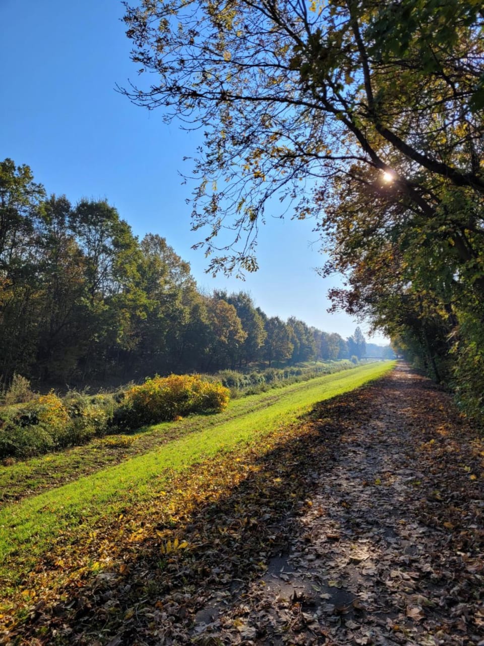 Natural landscape