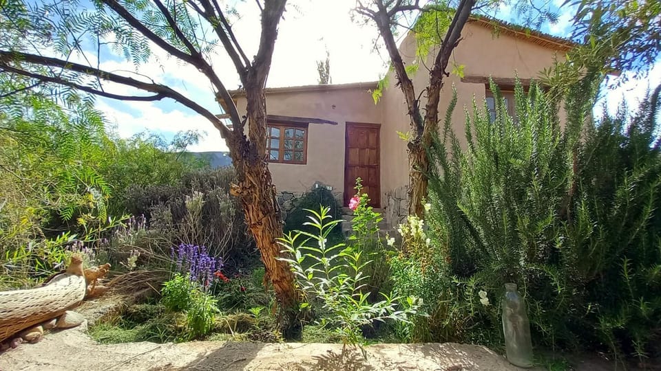 Garden, Garden view