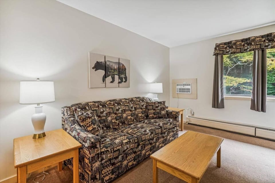 Cedarbrook Junior Suite 11416 Hotel in Killington