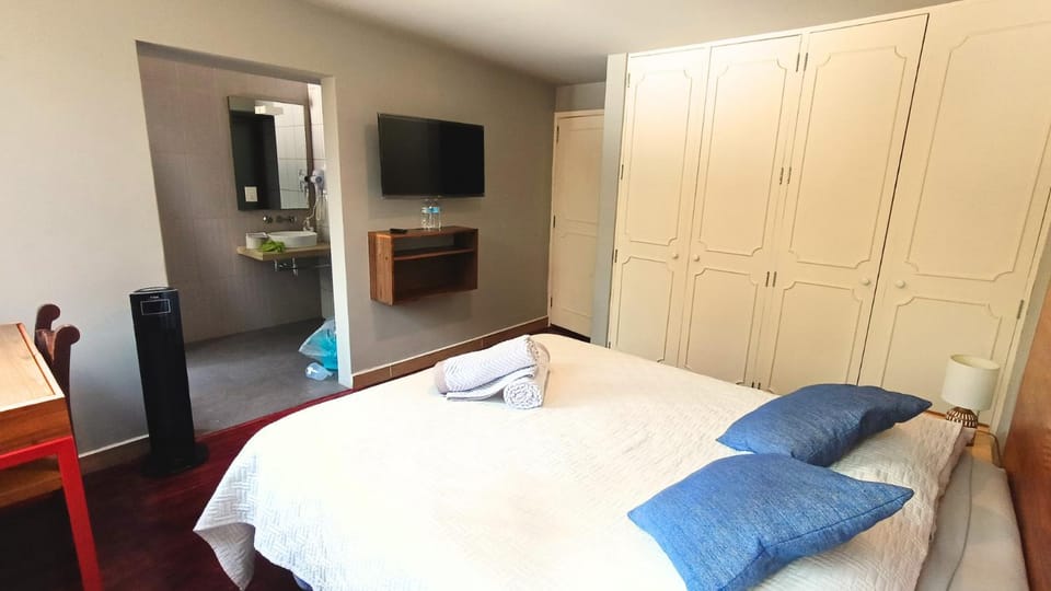 Terraza & Loft San Ángel Vacation rental in Mexico City