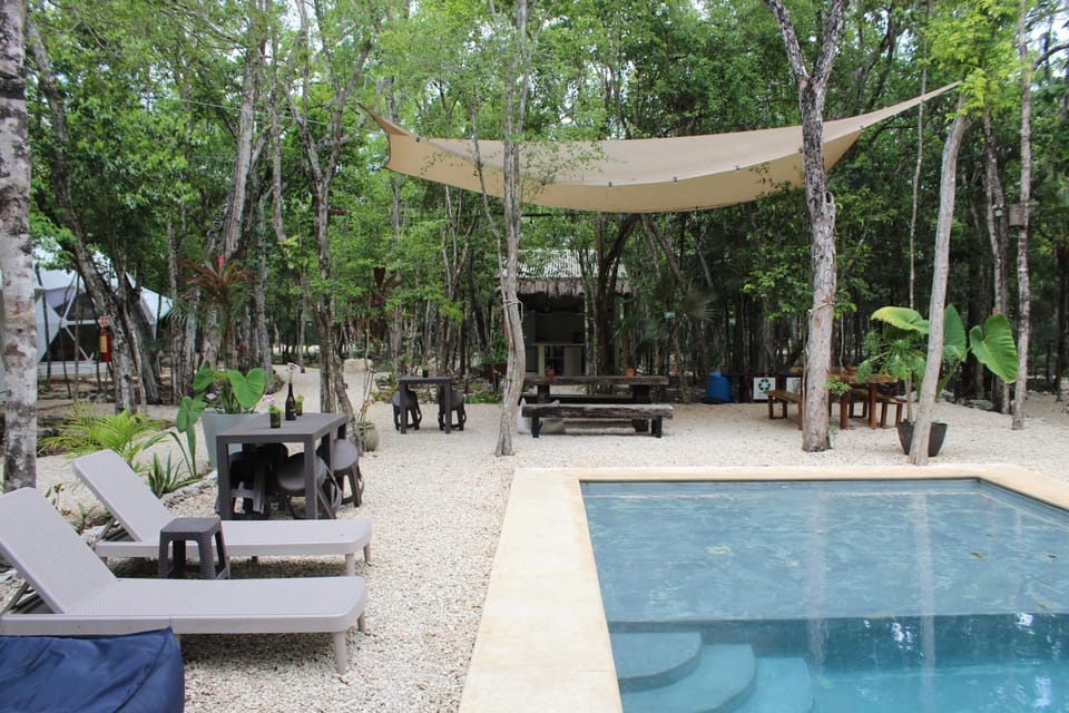 Swimming pool