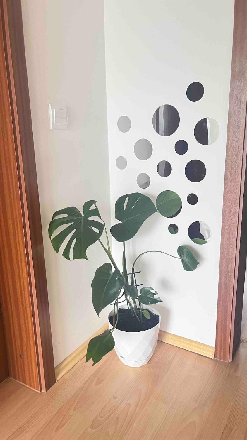 Happyland family home Apartment in Sarajevo