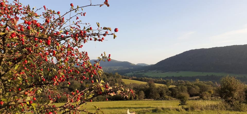 Natural landscape