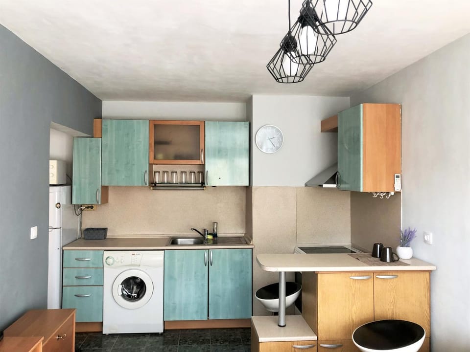 Kitchen or kitchenette, minibar, pet friendly, stove, washing machine