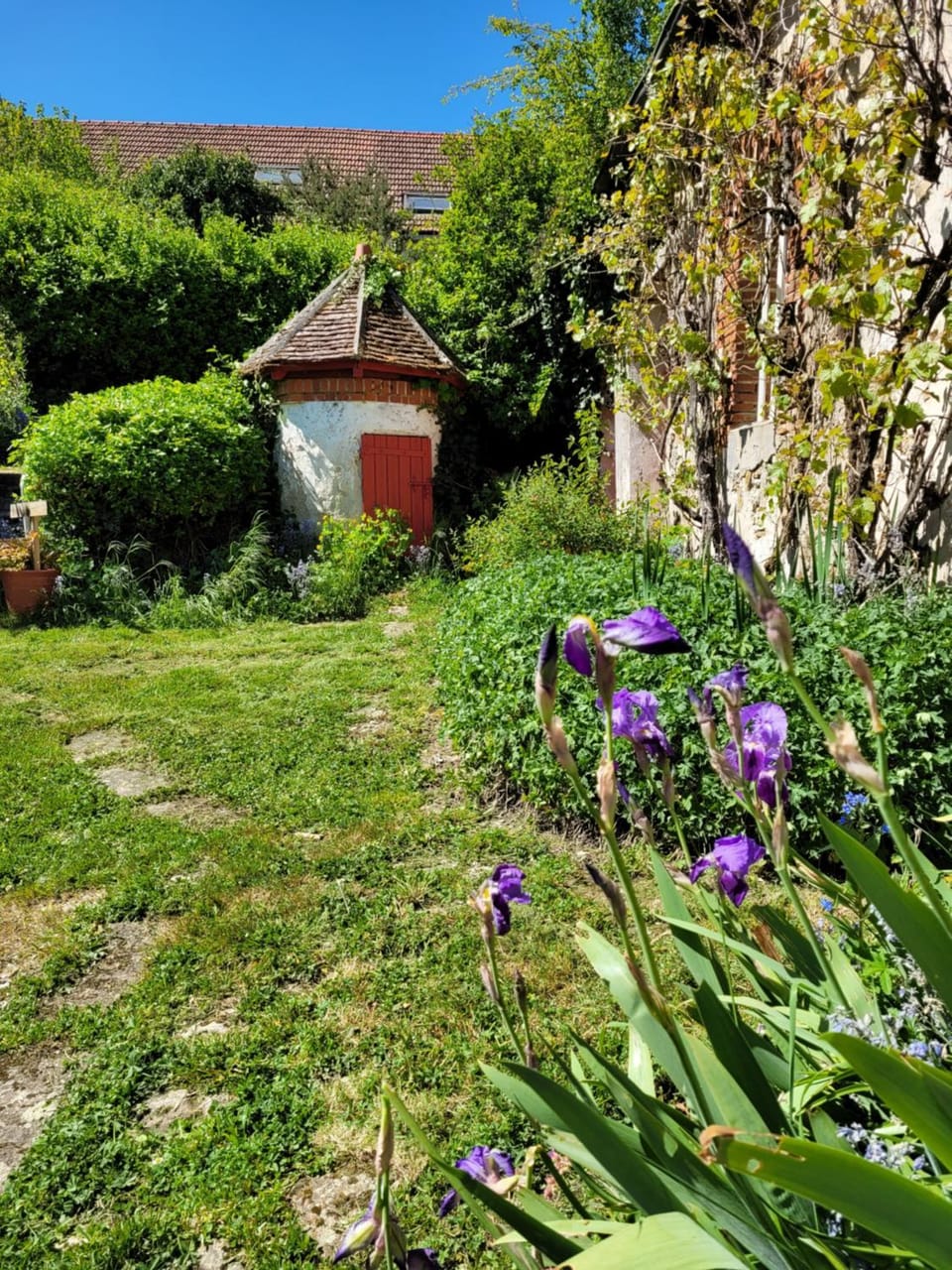 Garden view