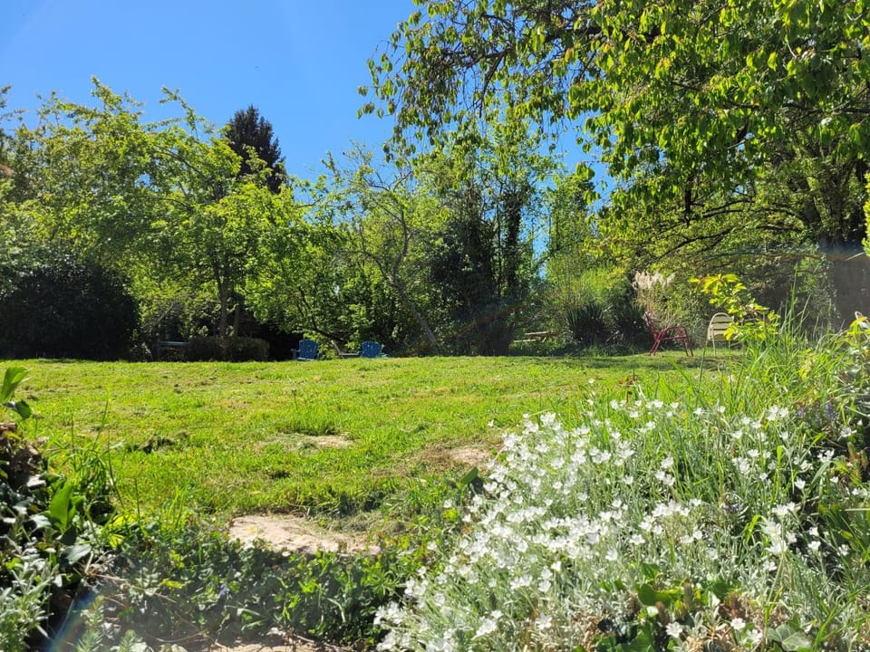 Garden view