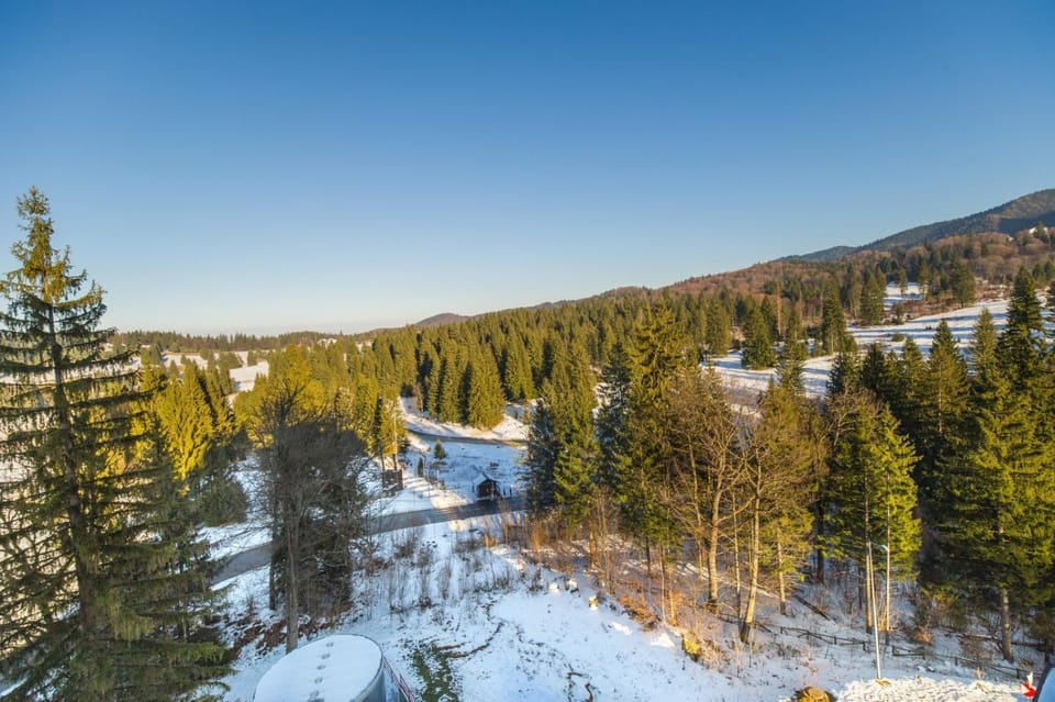 Cold Mountain Apartment in Silver Mountain Resort Apartment in Brasov