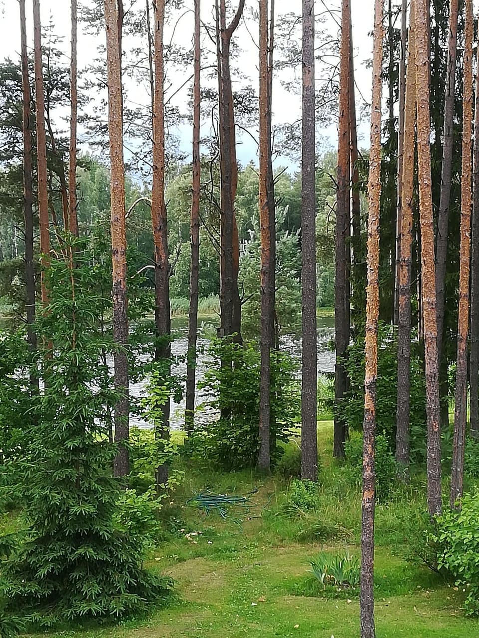 Lake view