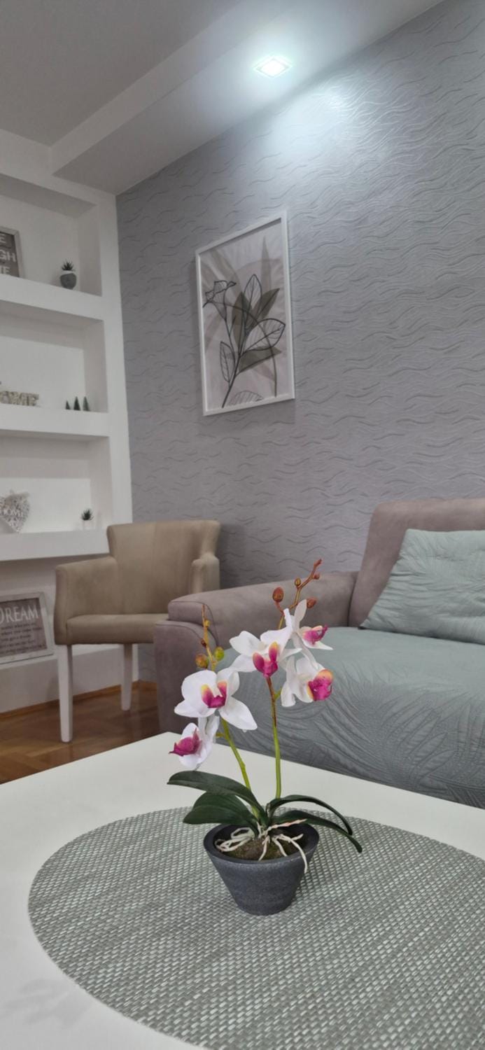 Apartman Vukota Pirot Apartment in Serbia