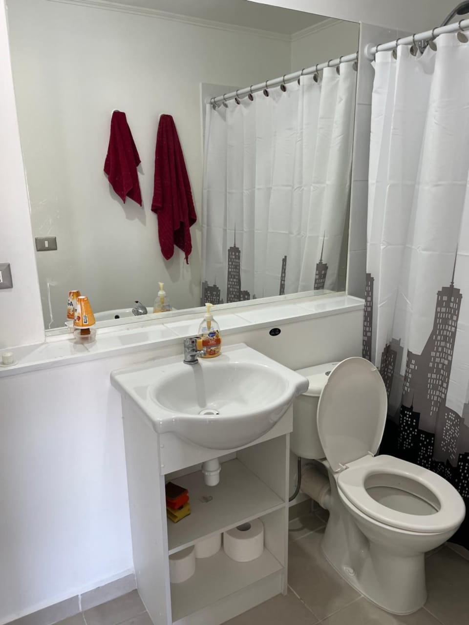 Departamento amoblado Apartment in Bio Bio, Chile