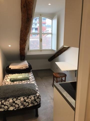 Mansarda Principe Apartment in Turin