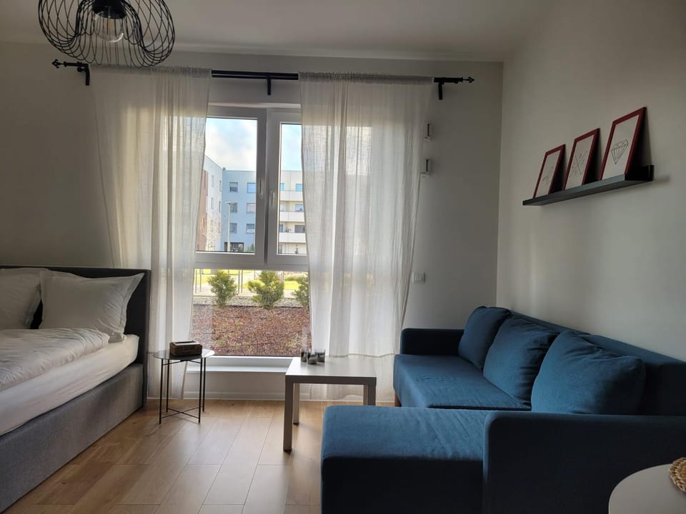 Bed, Living room, Photo of the whole room