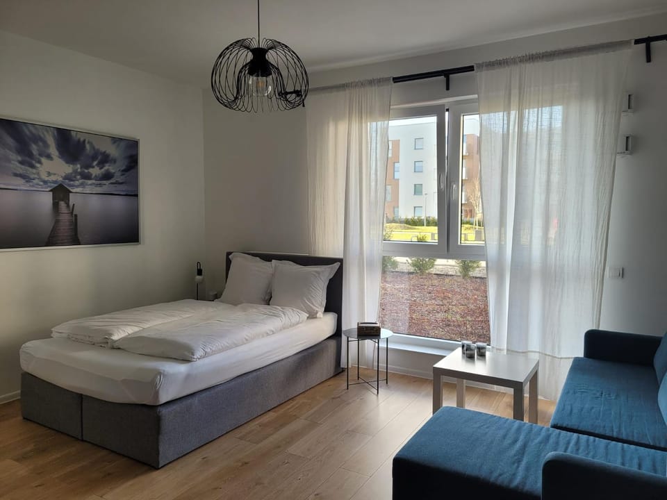 Bed, Living room, Photo of the whole room, Seating area, Bedroom