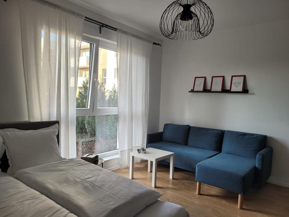 Bed, Living room, Photo of the whole room, Bedroom