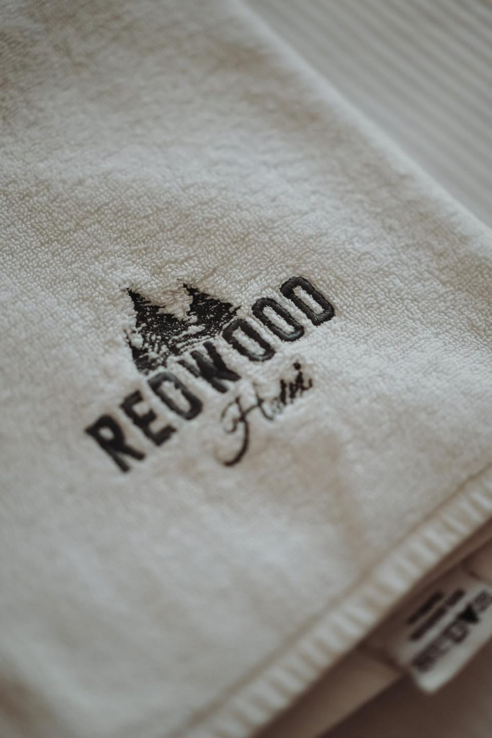 Redwood Hostel by EASY RENT Apartments Hostel in Masovian Voivodeship