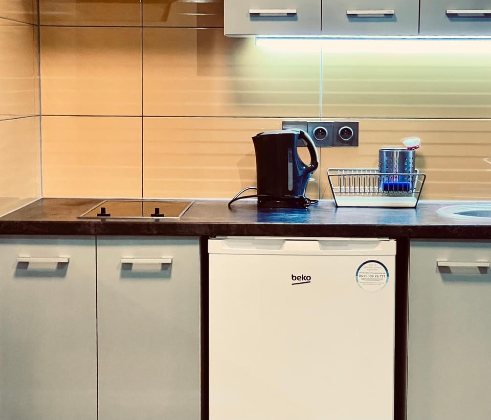 Coffee/tea facilities, Kitchen or kitchenette, stove, washing machine