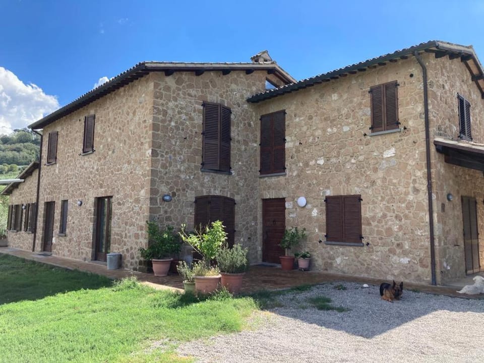 Property building, Garden view