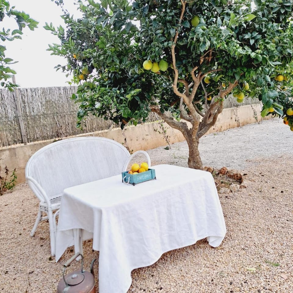 Property building, Garden view