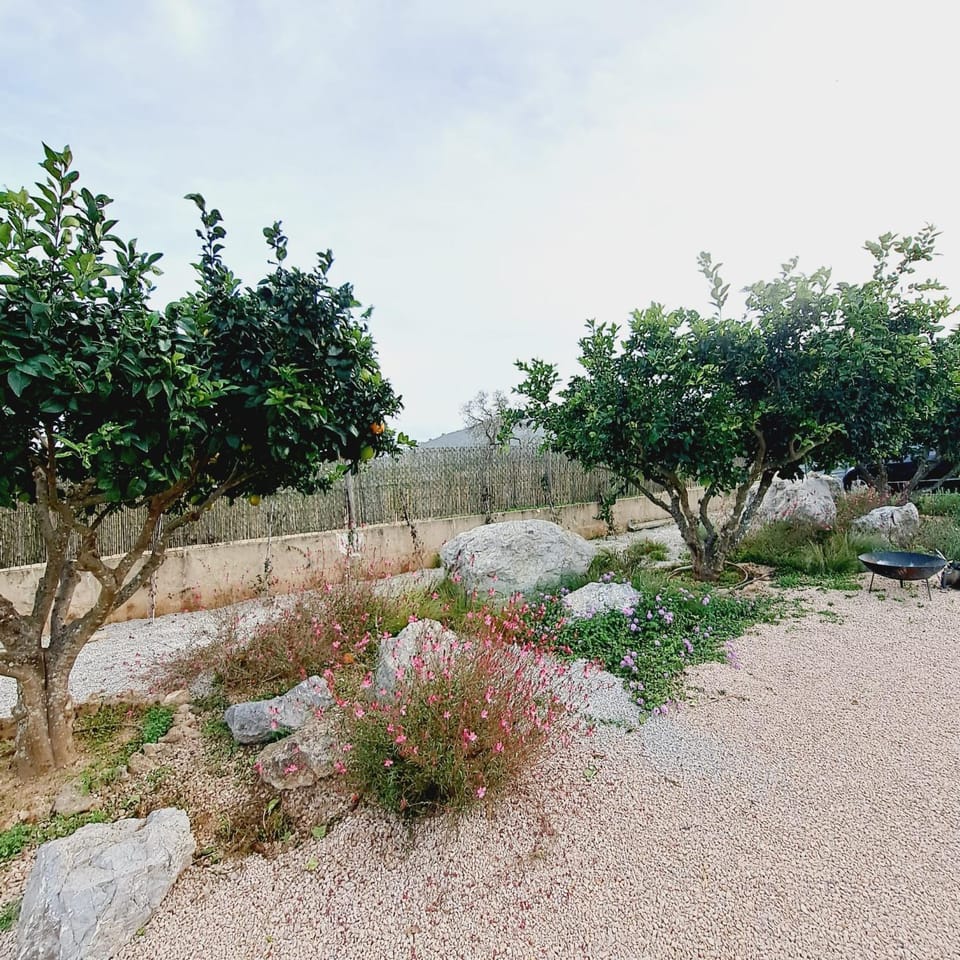 Property building, Garden view