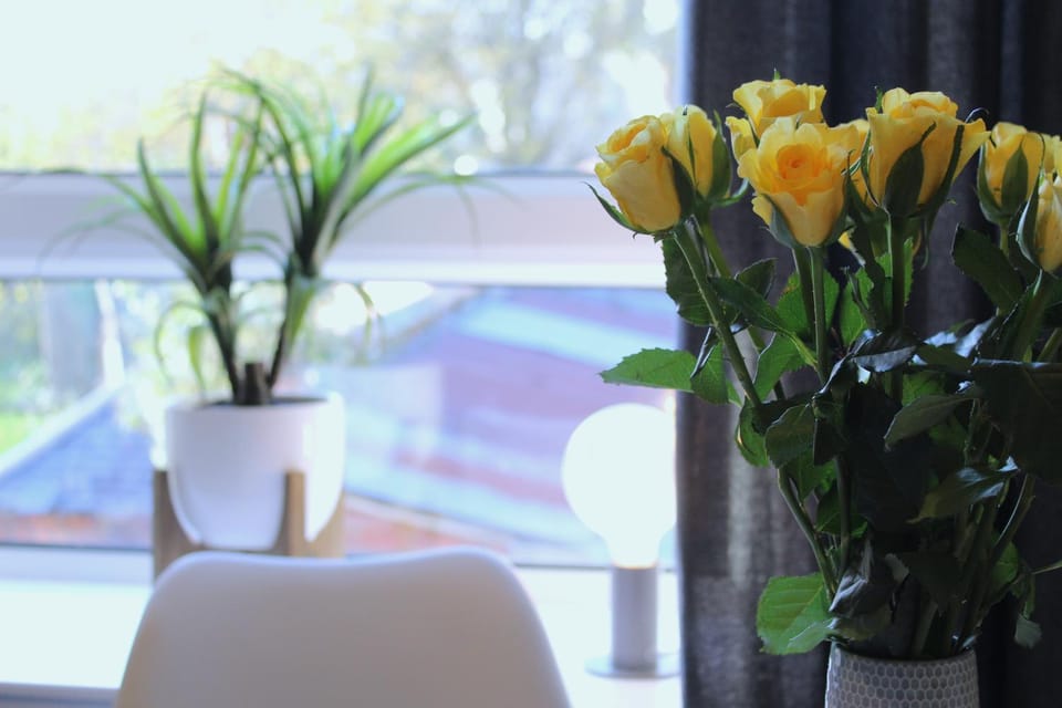 Modern Craigie Apartment Apartment in Perth