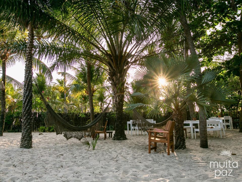 Natural landscape, Garden, Dining area, Beach, Garden view, Area and facilities