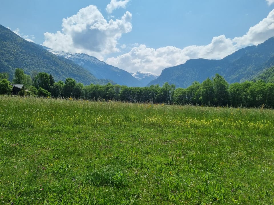 LE GRAND TETRAS Apartment in Samoëns
