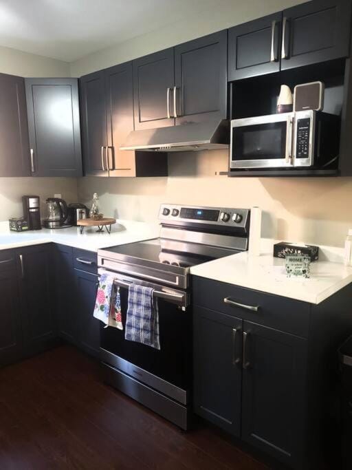 3 Bedroom basement unit with Free Parking , WiFi. Apartment in Windsor