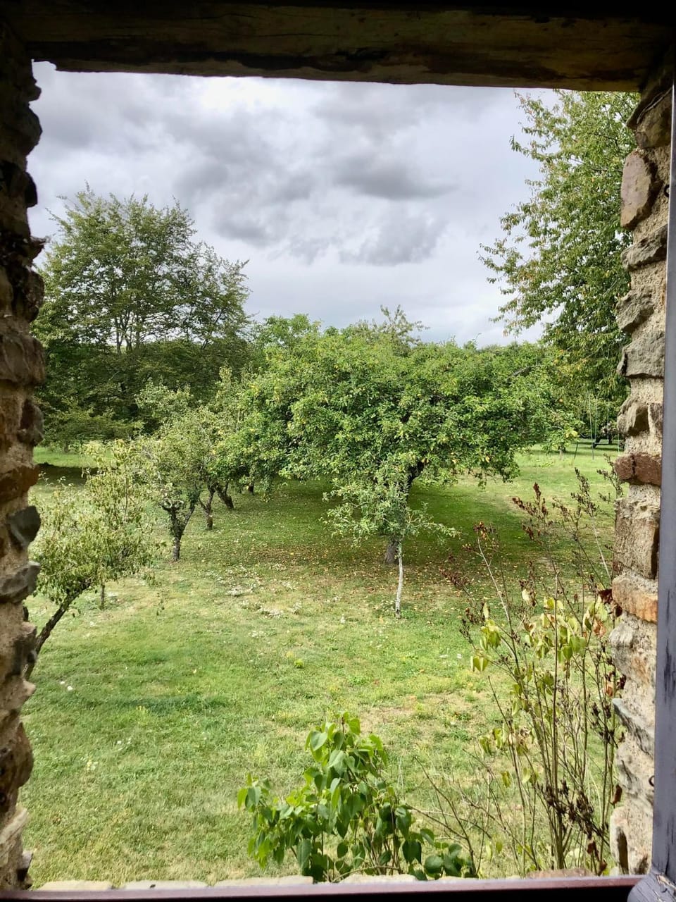 Garden view